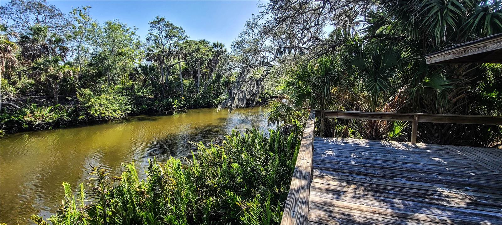 2749 ORCHID OAKS DR #302