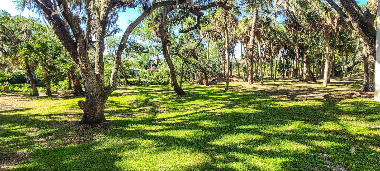 2749 ORCHID OAKS DR #302