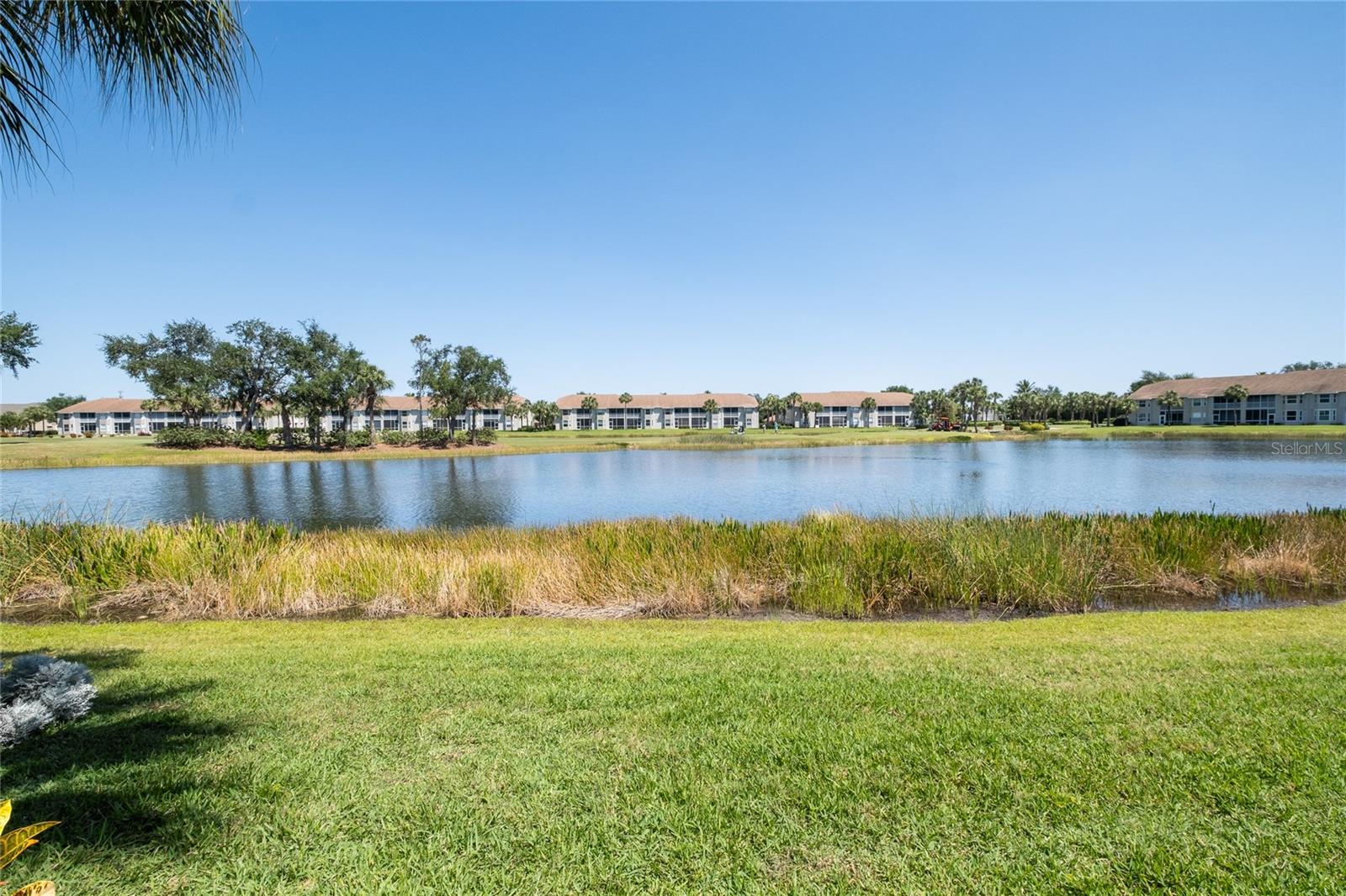 8099 QUEEN PALM LN #211