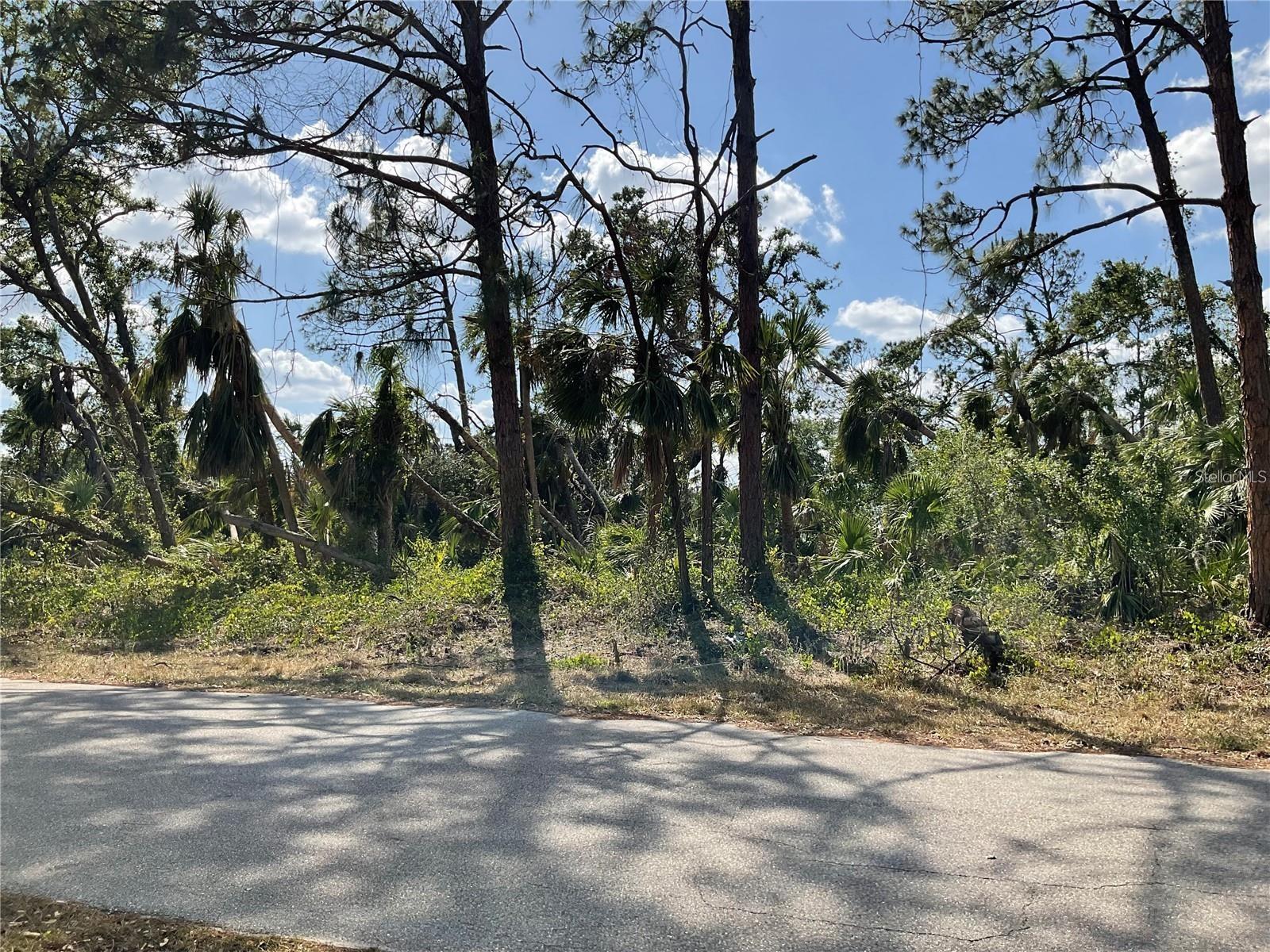 LOT 25 ANANAS RD