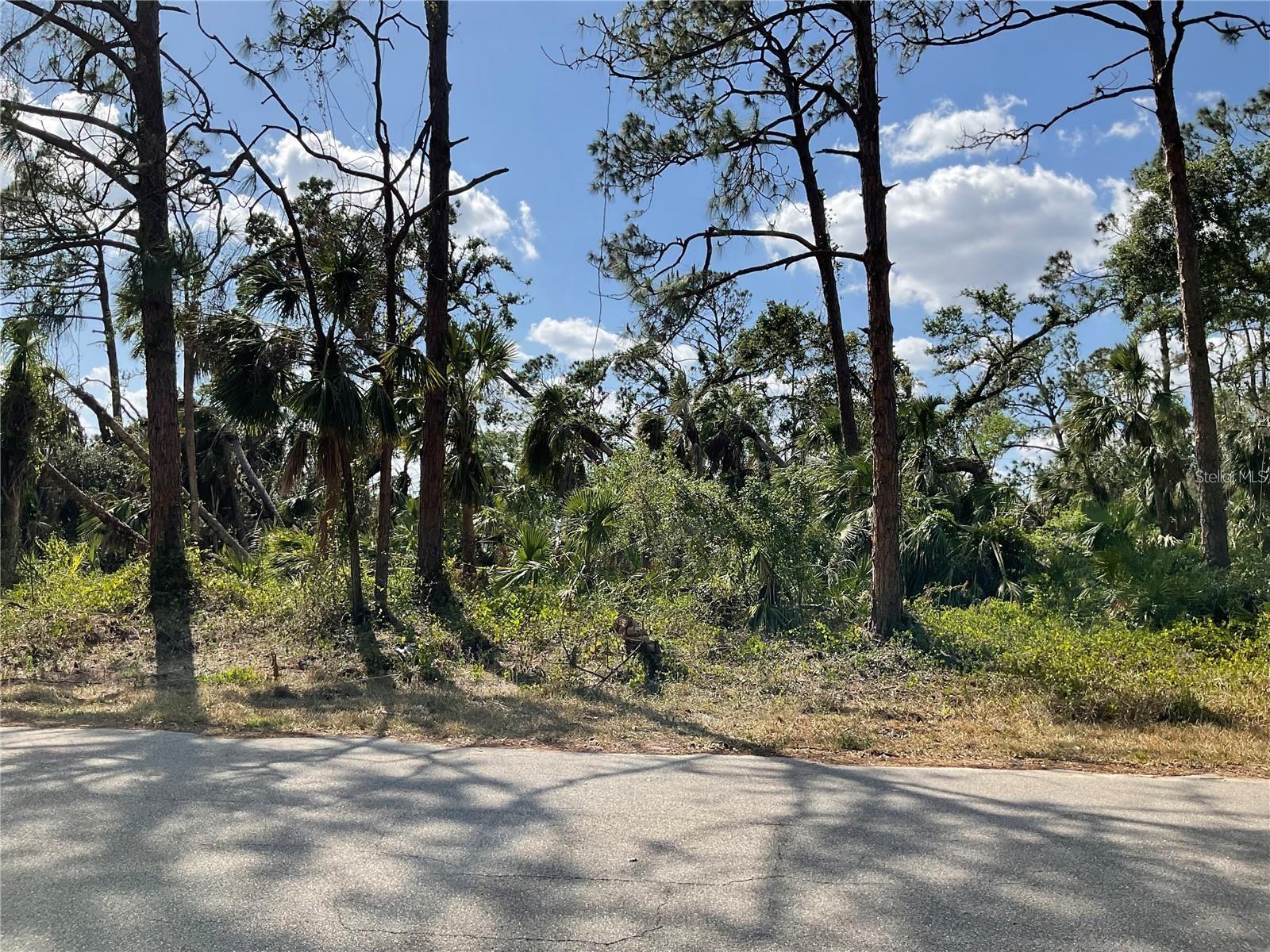LOT 25 ANANAS RD