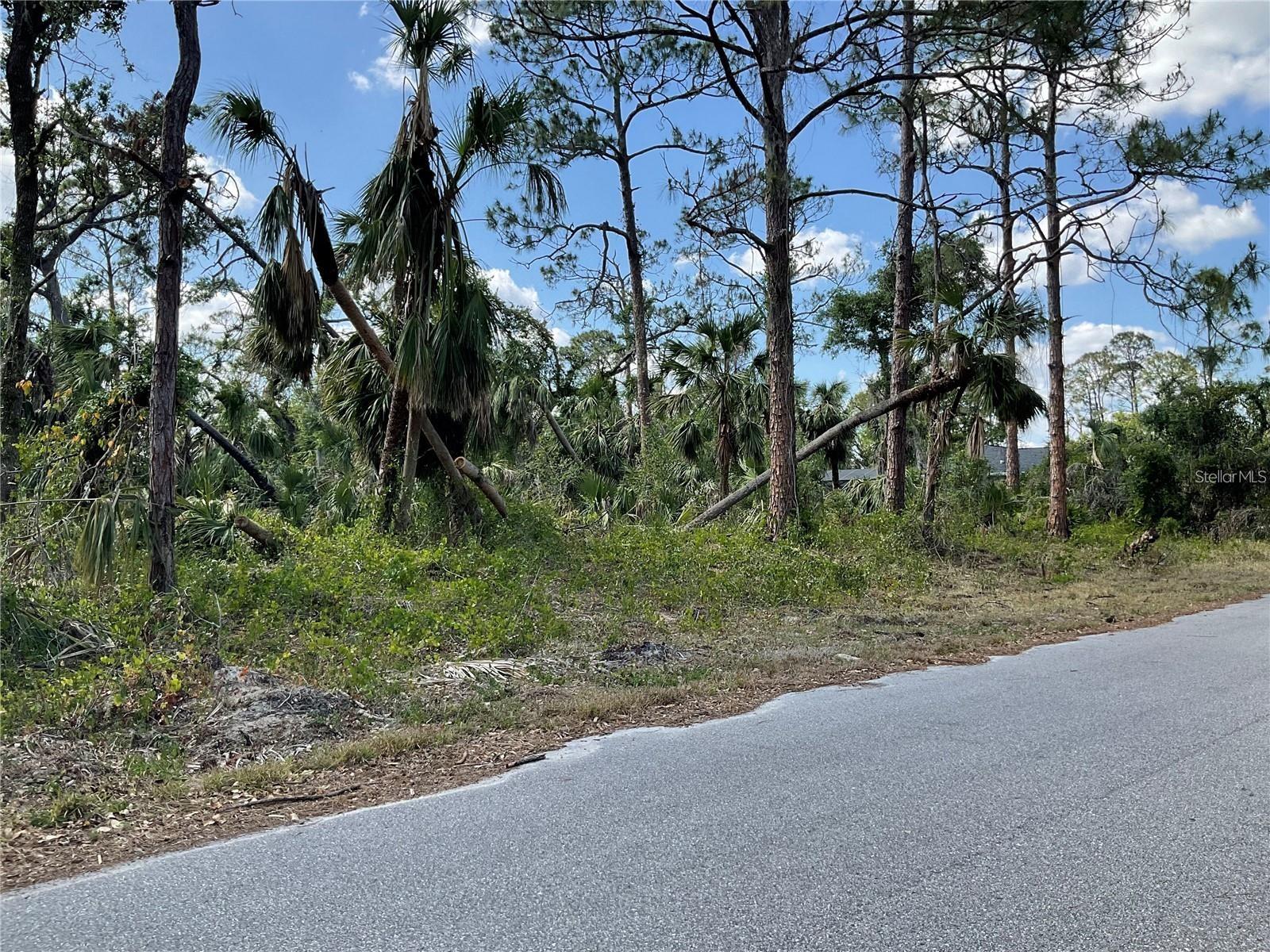 LOT 25 ANANAS RD