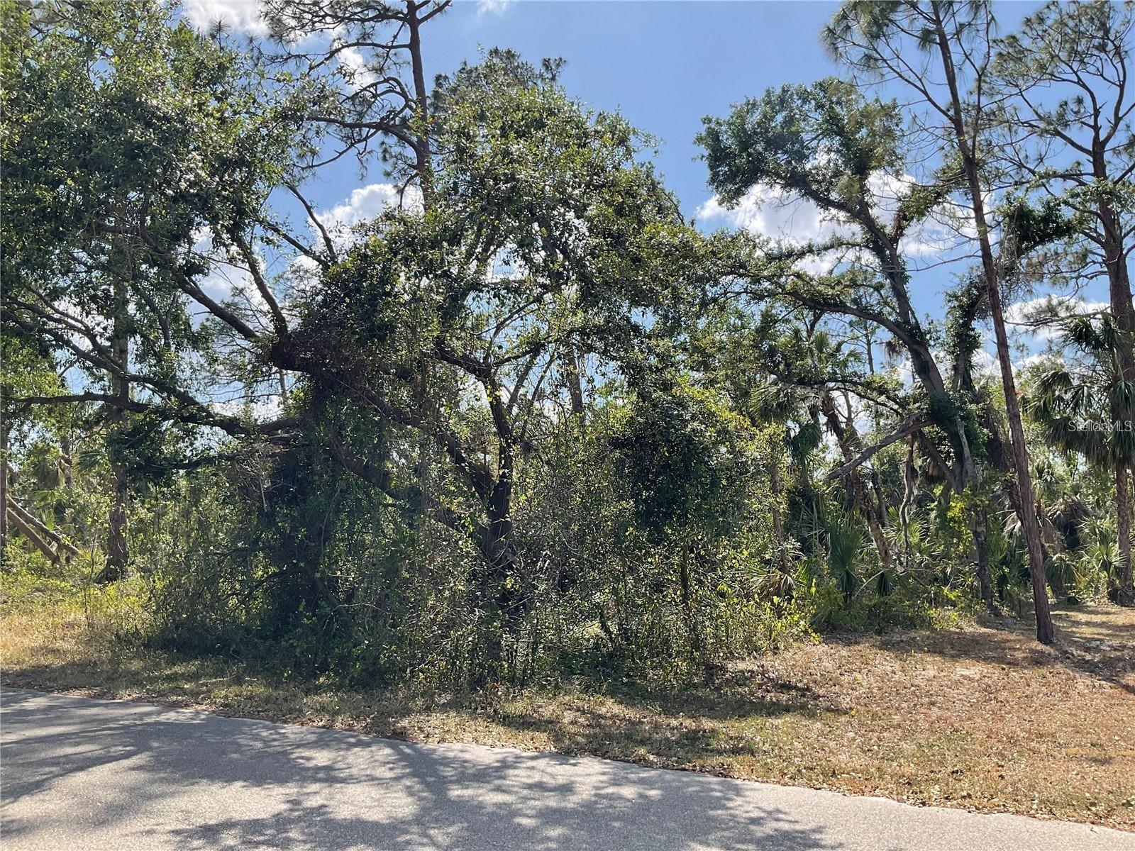LOT 24 ANANAS RD
