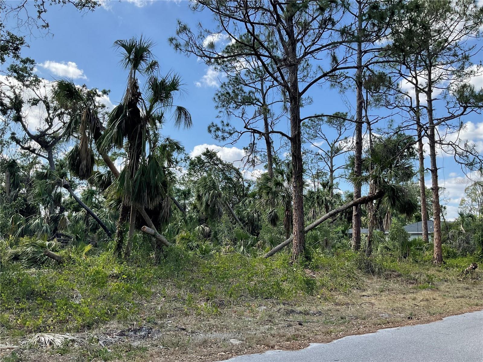 LOT 24 ANANAS RD