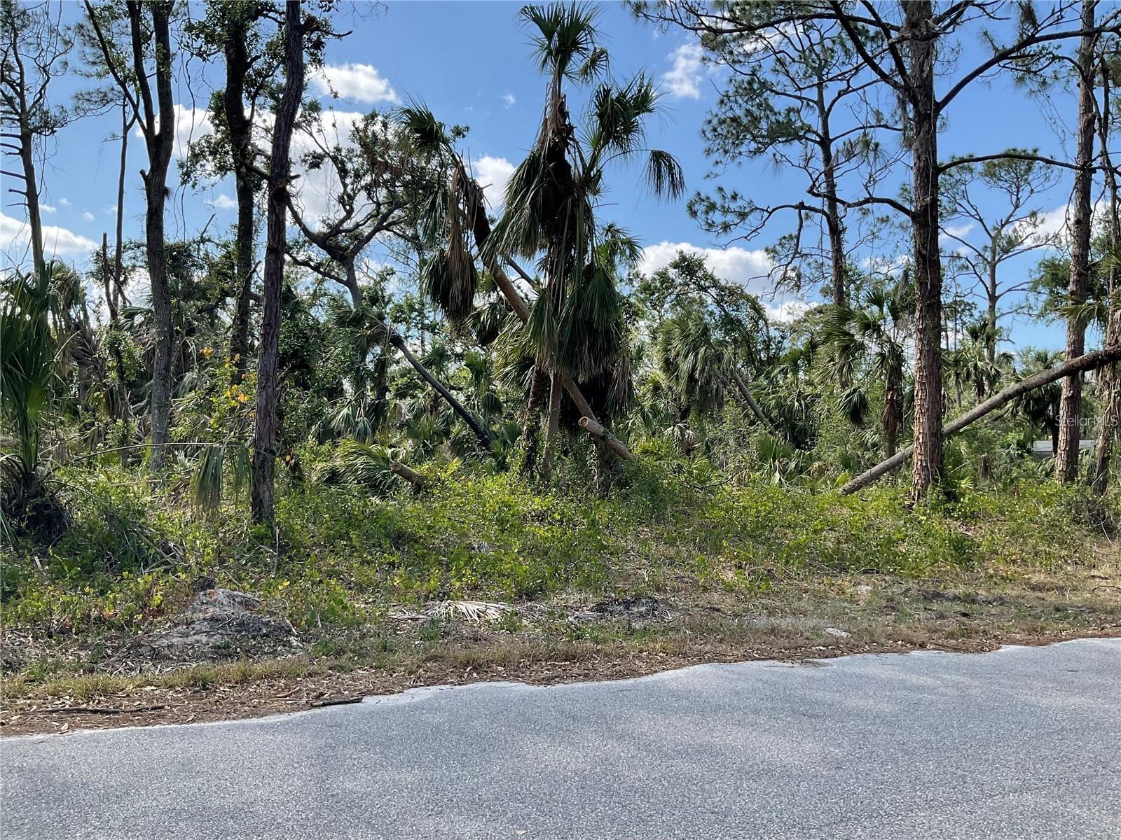 LOT 24 ANANAS RD