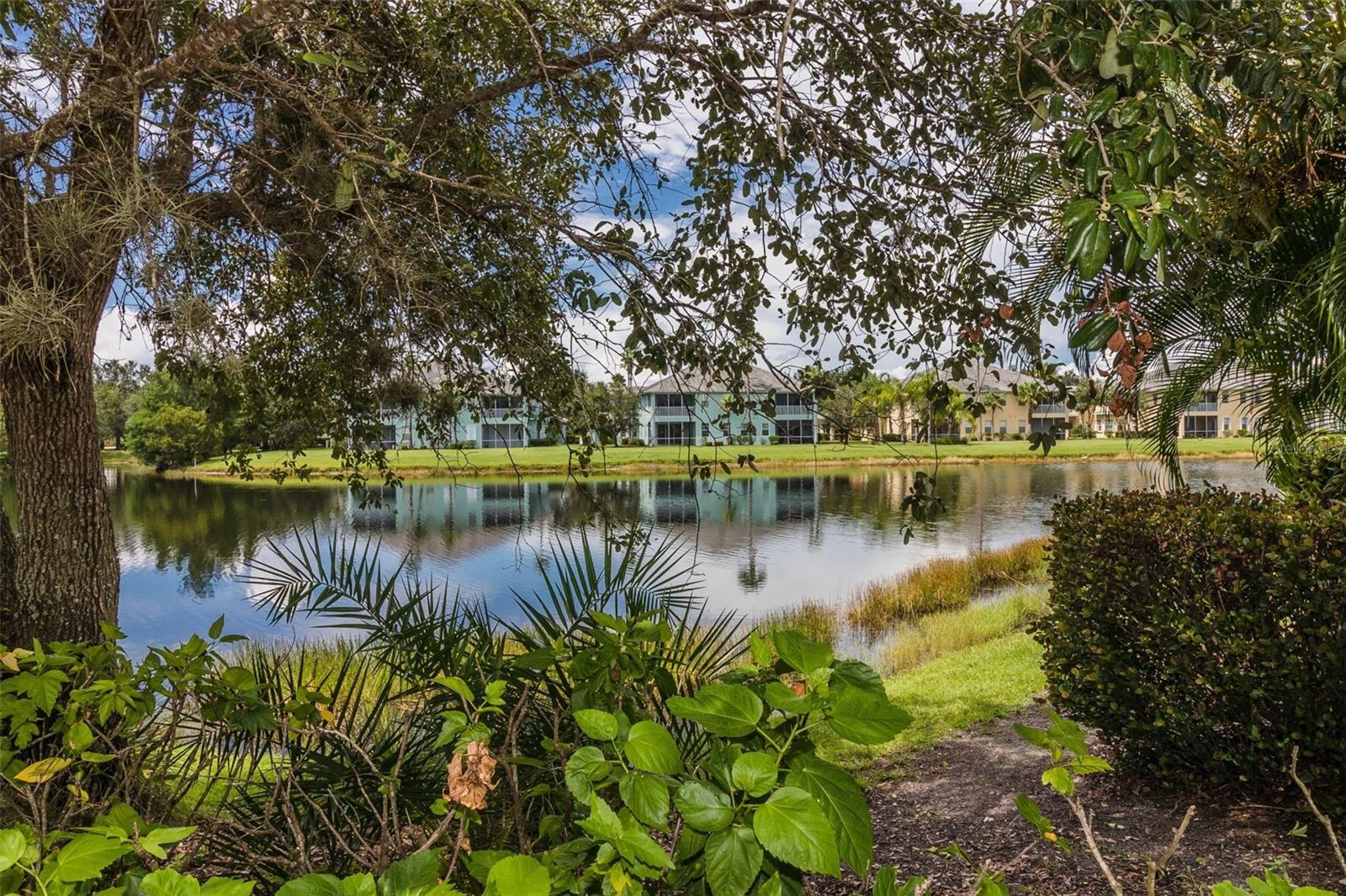 2061 WILLOW HAMMOCK CIR #204