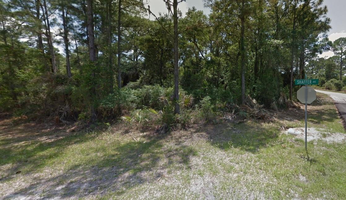 LOT 35 DORIE ST