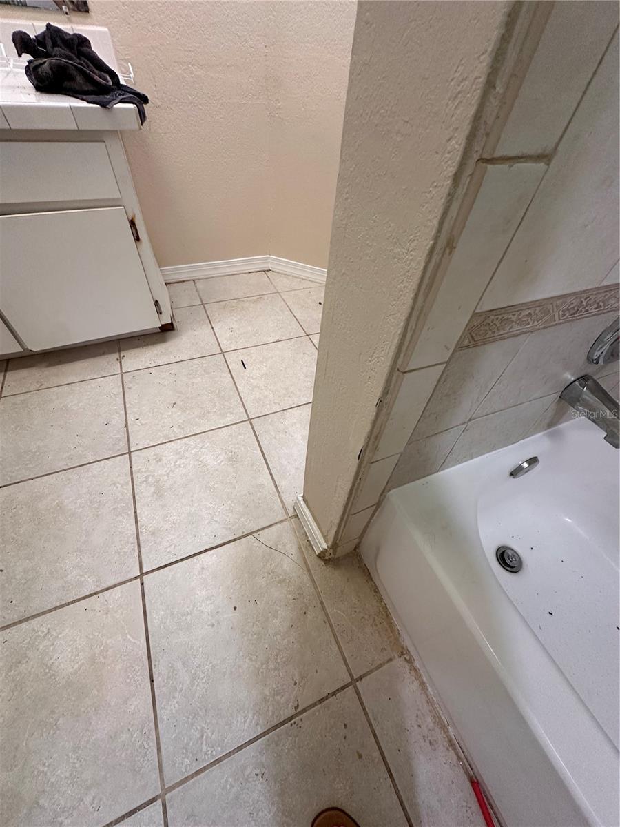 16842 TOLEDO BLADE BLVD