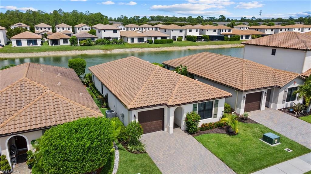 8968 Madrid CIR