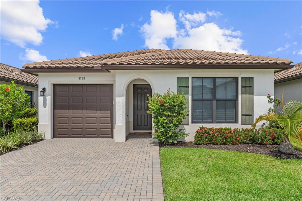 8968 Madrid CIR
