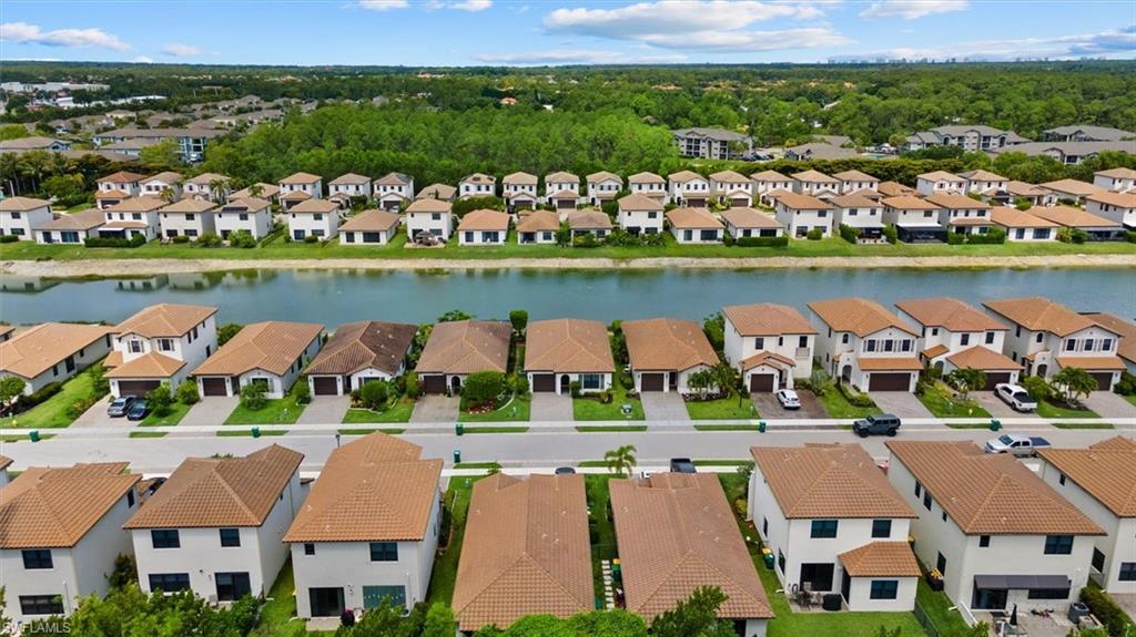 8968 Madrid CIR
