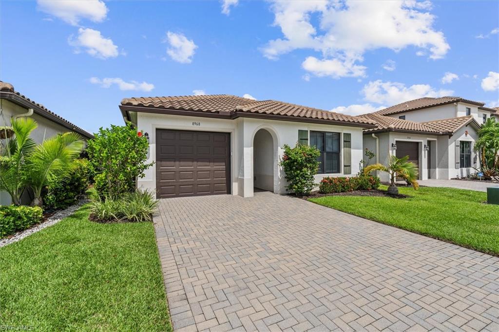 8968 Madrid CIR