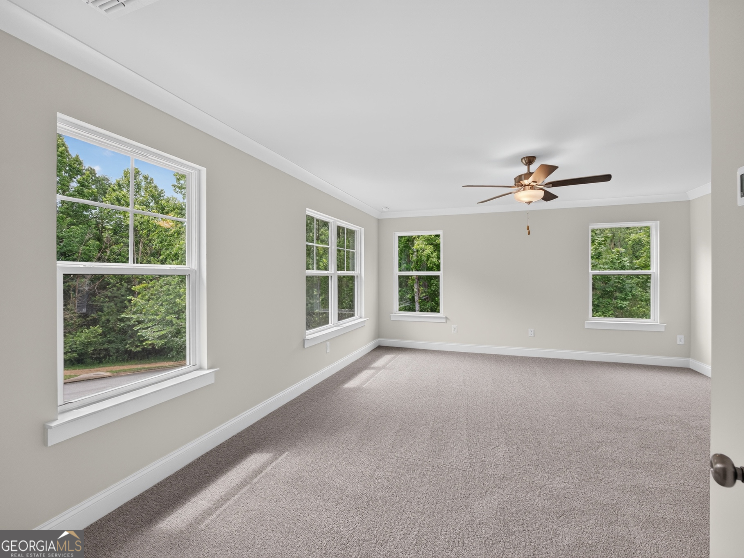 537 Principal Meridian Drive