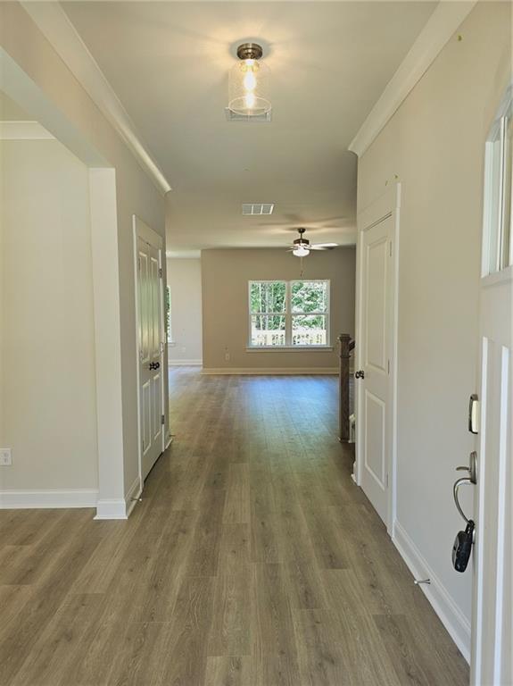 479 Principal Meridian Drive