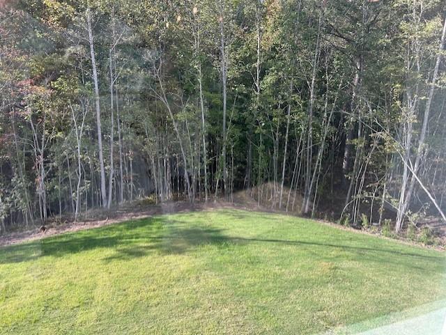 517 Principal Meridian Drive