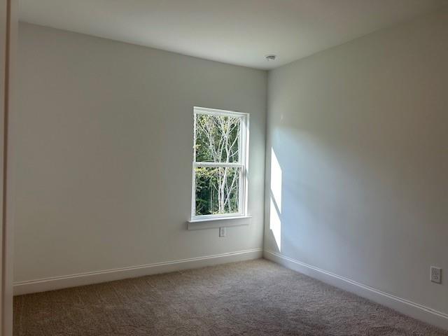 517 Principal Meridian Drive