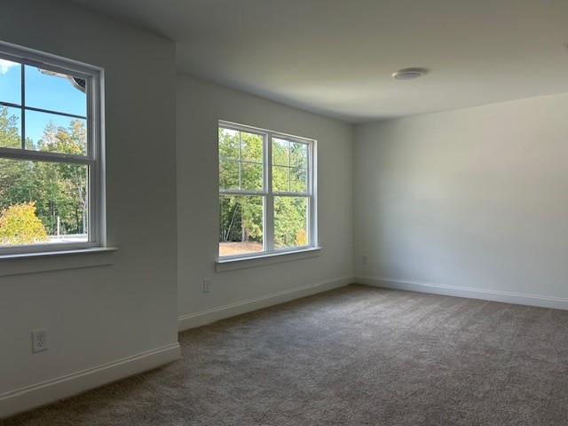 517 Principal Meridian Drive