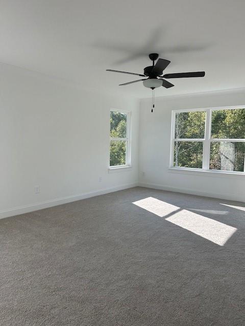 517 Principal Meridian Drive