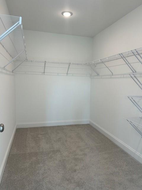 517 Principal Meridian Drive