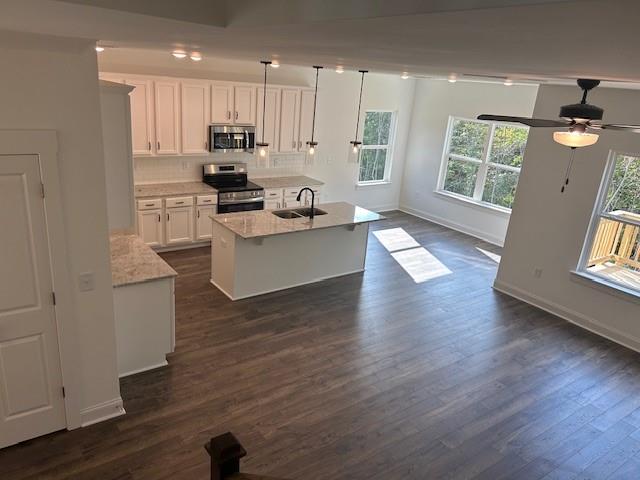 517 Principal Meridian Drive