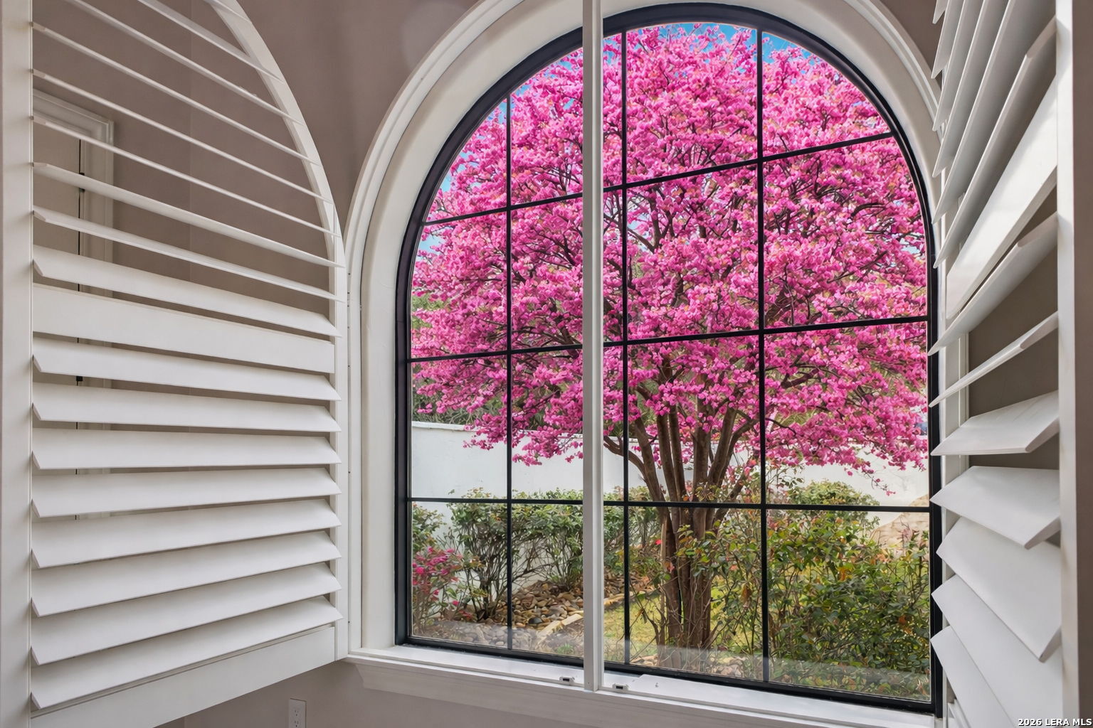 11418 Anaqua Springs