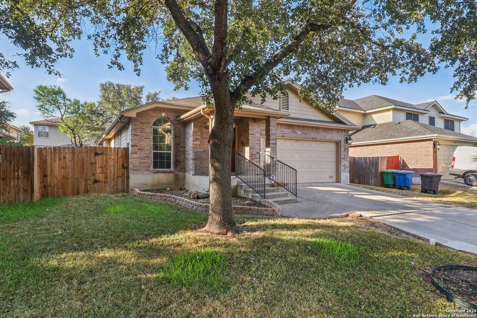 4119 Chinkapin Oak