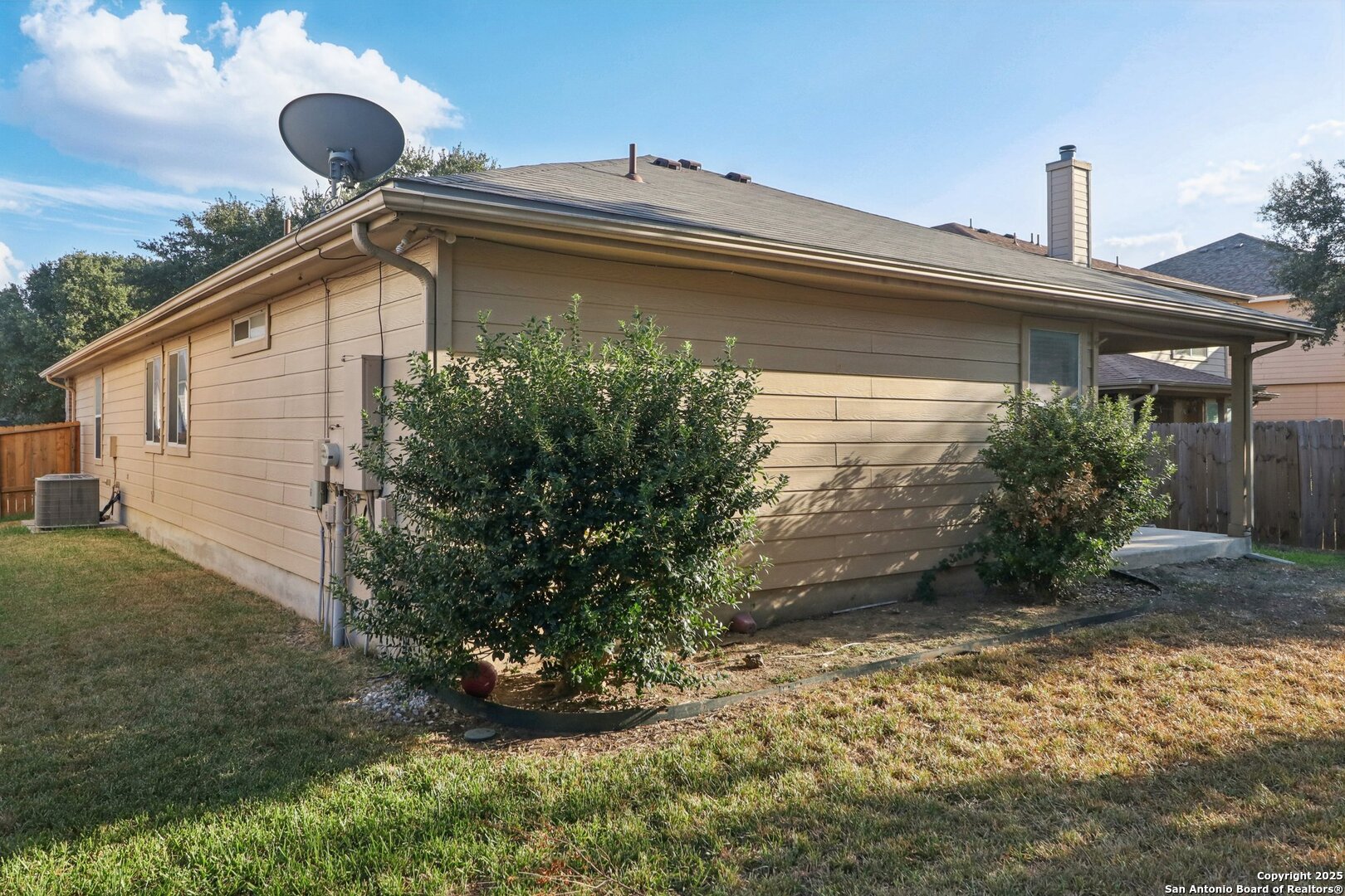4119 Chinkapin Oak