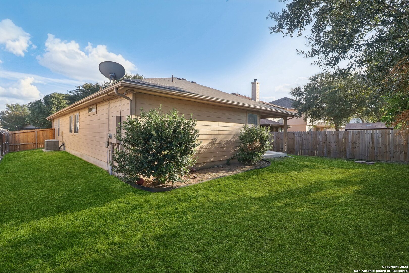 4119 Chinkapin Oak