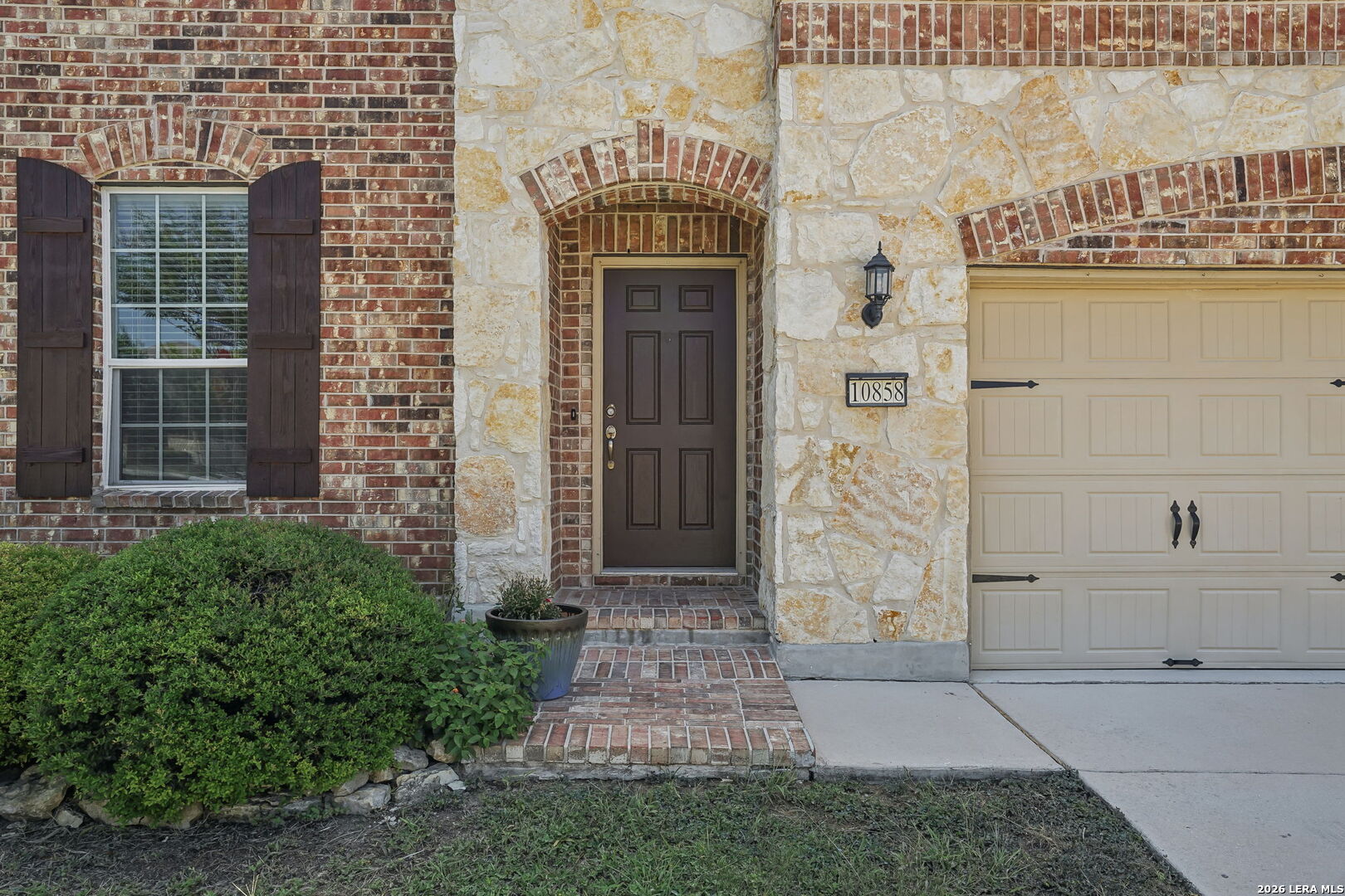 10858 Red Sage