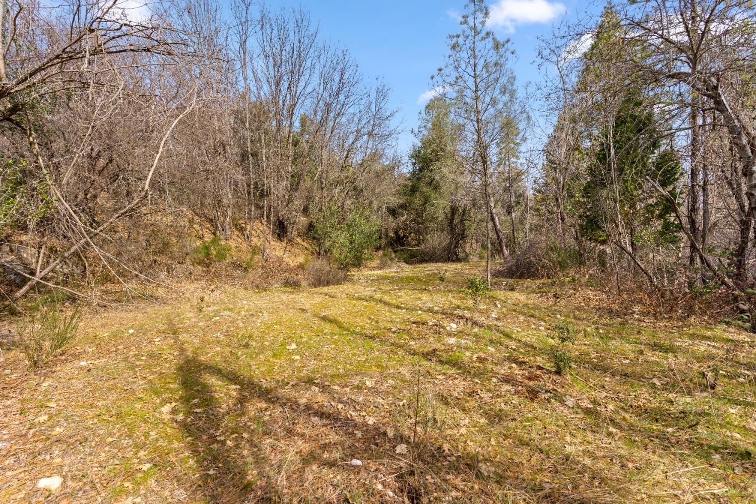 12931 Gray Lane