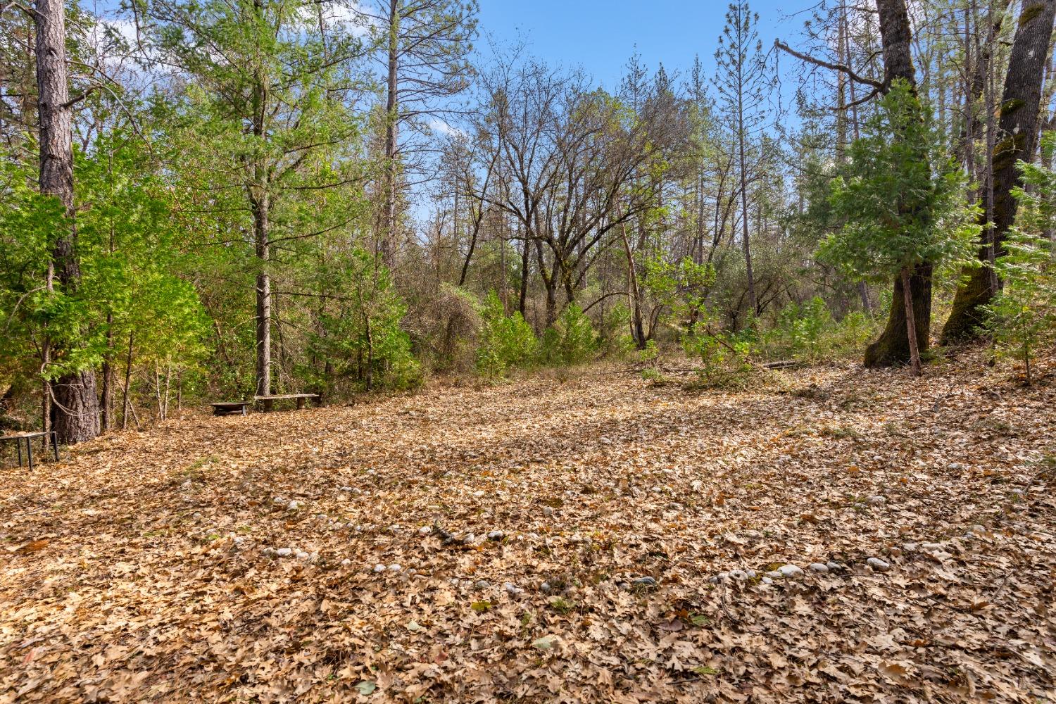 12931 Gray Lane