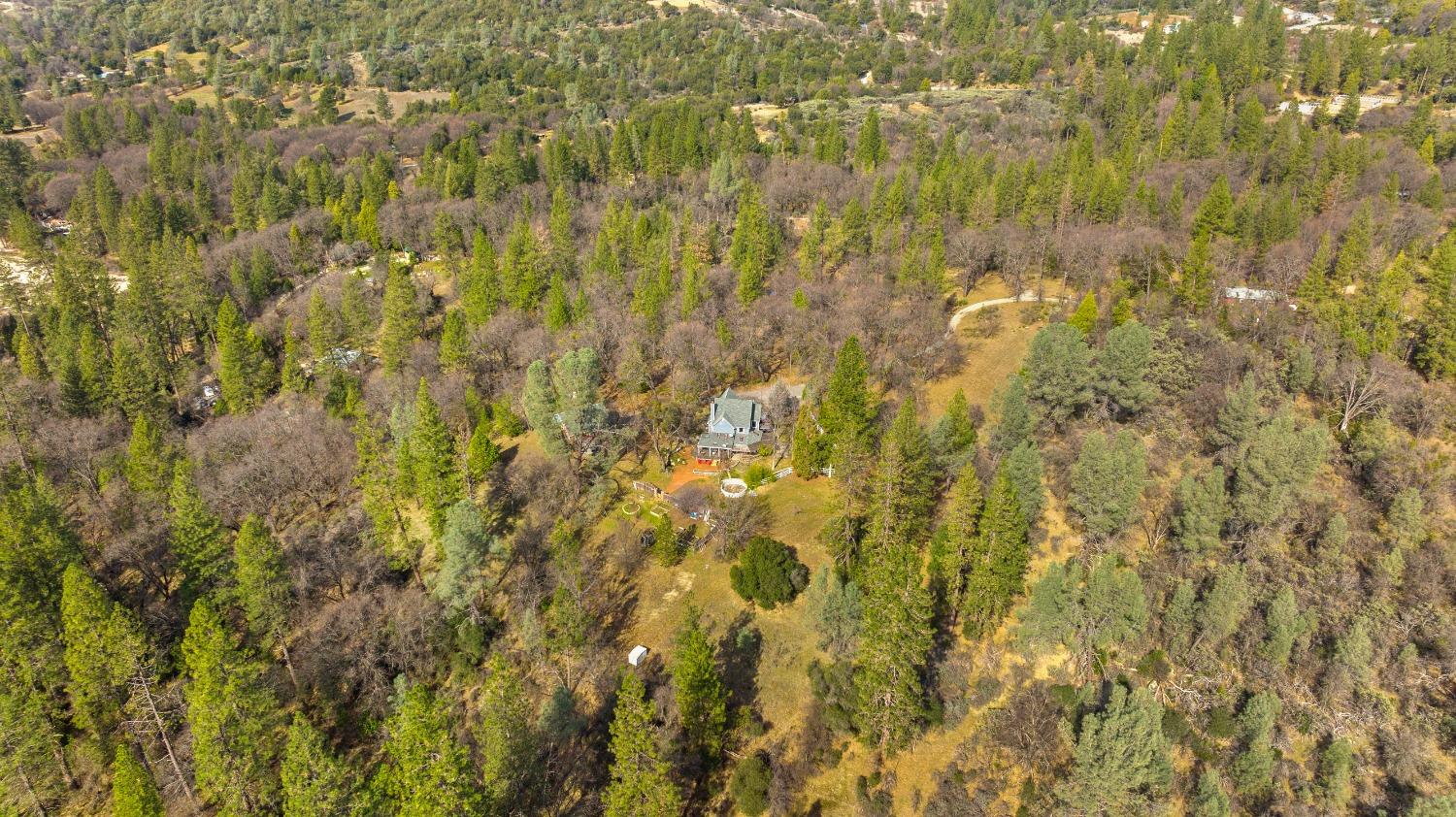 12931 Gray Lane