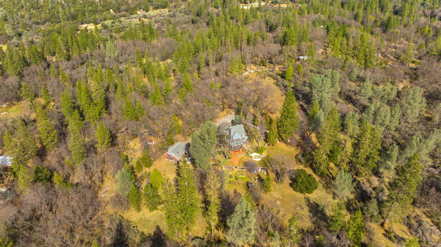 12931 Gray Lane