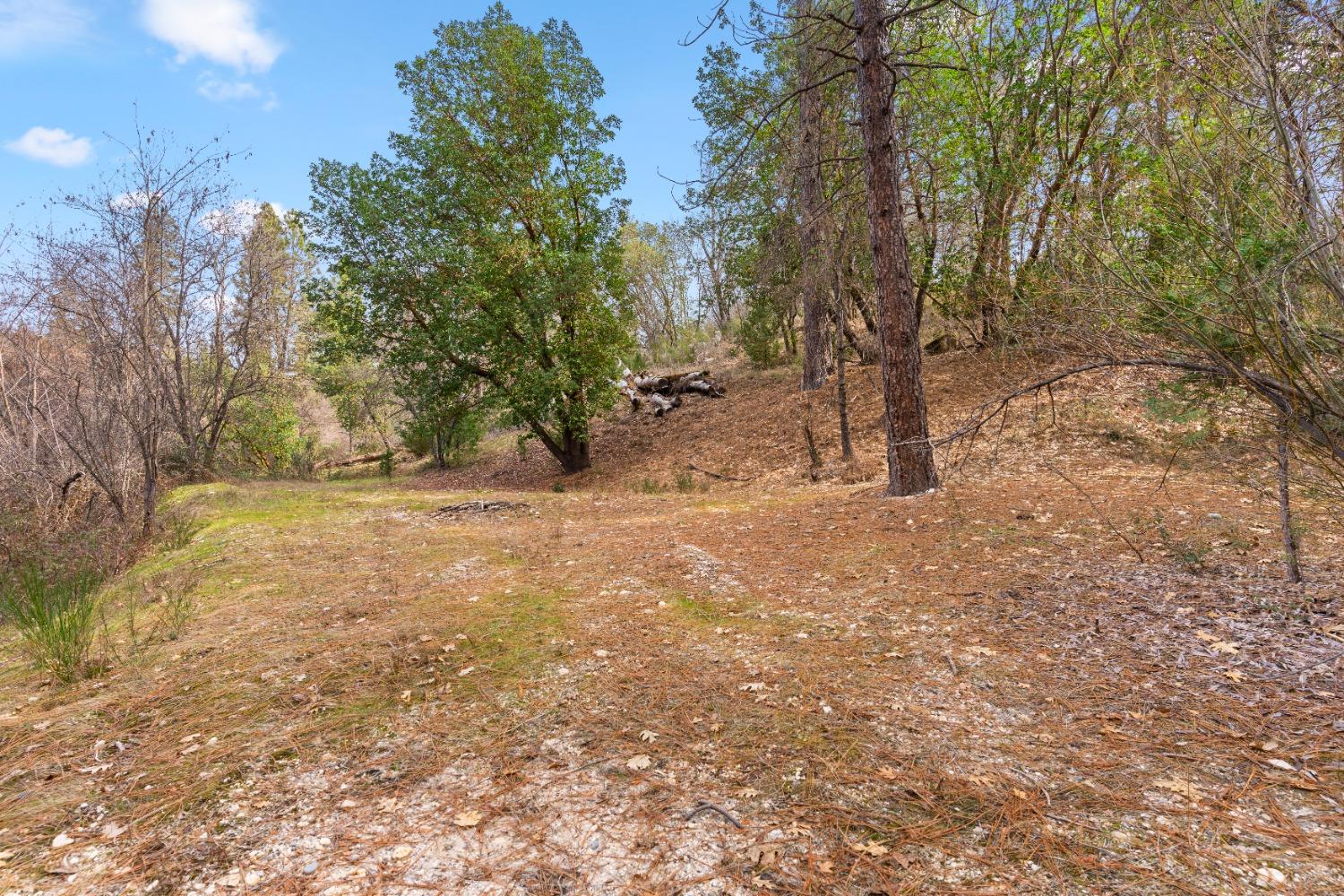 12931 Gray Lane