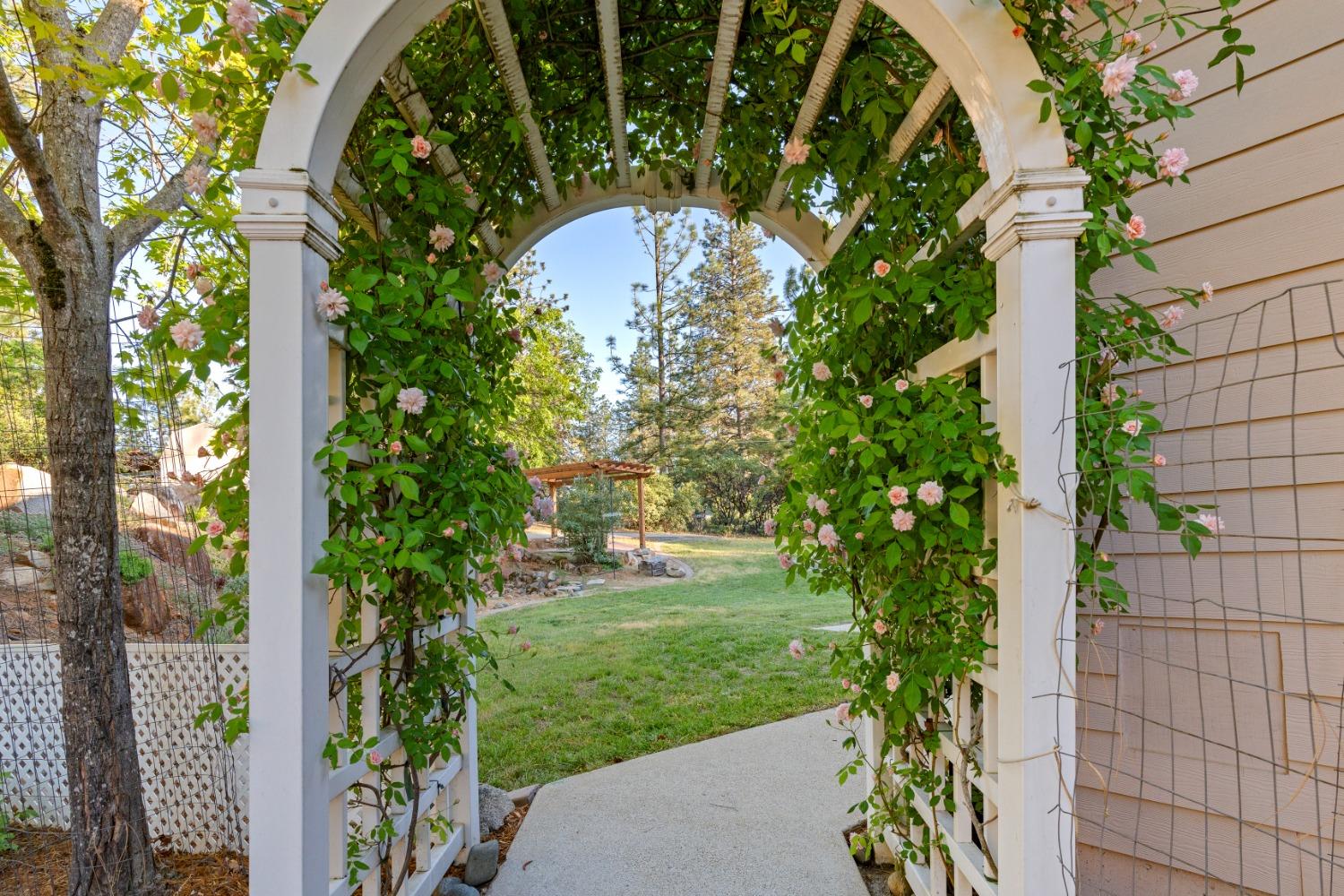 14260 La Barr Pines Drive