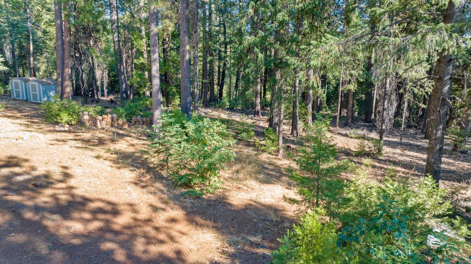 22065 State Highway 20