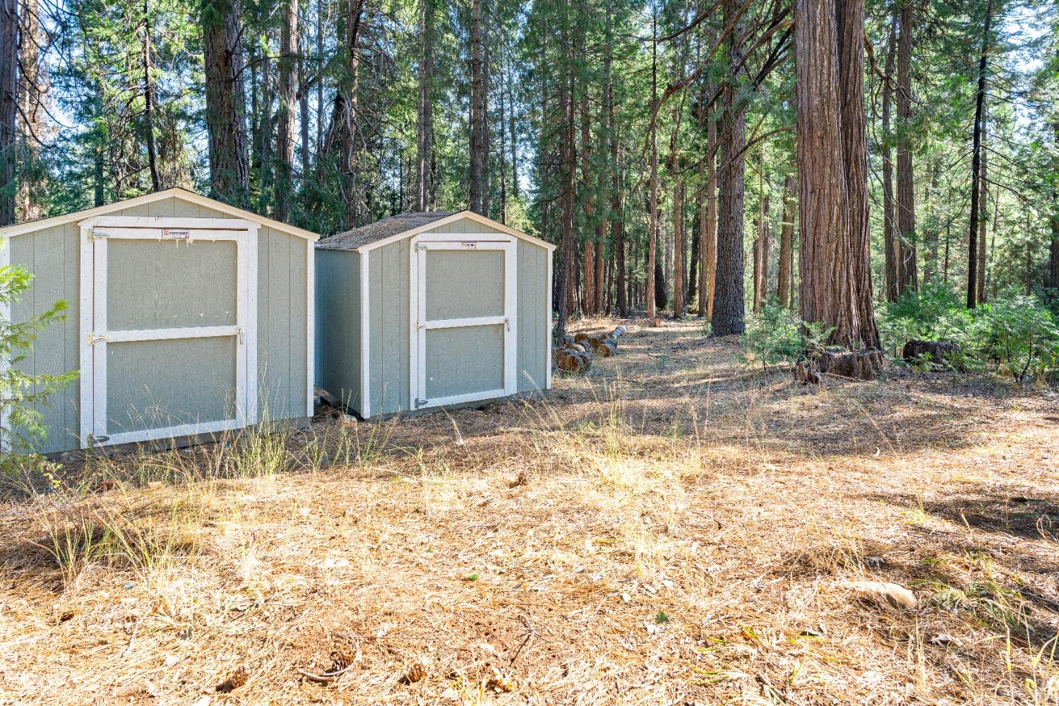 22065 State Highway 20