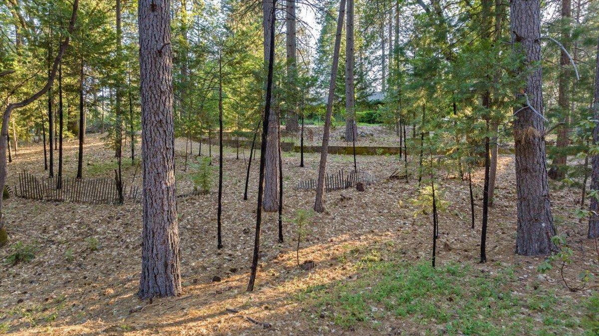 13943 Greenhorn Road