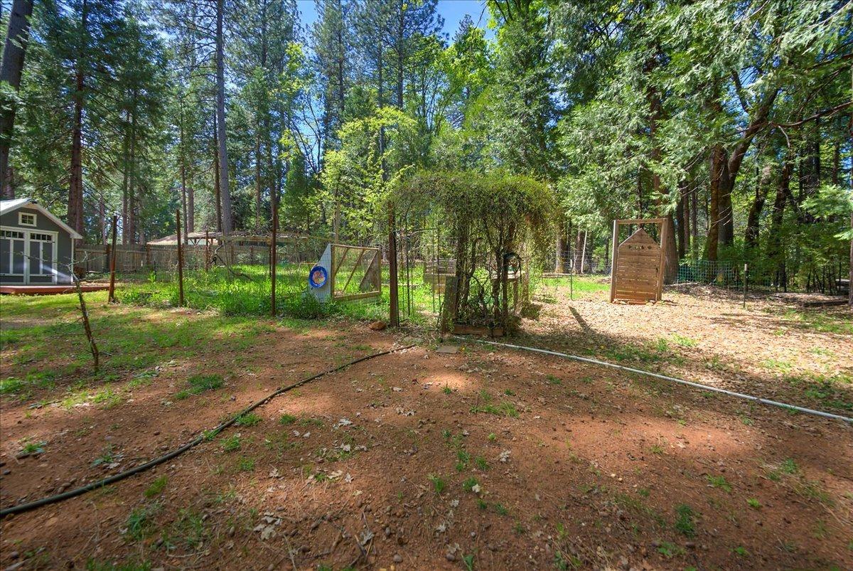 13358 Orton Road