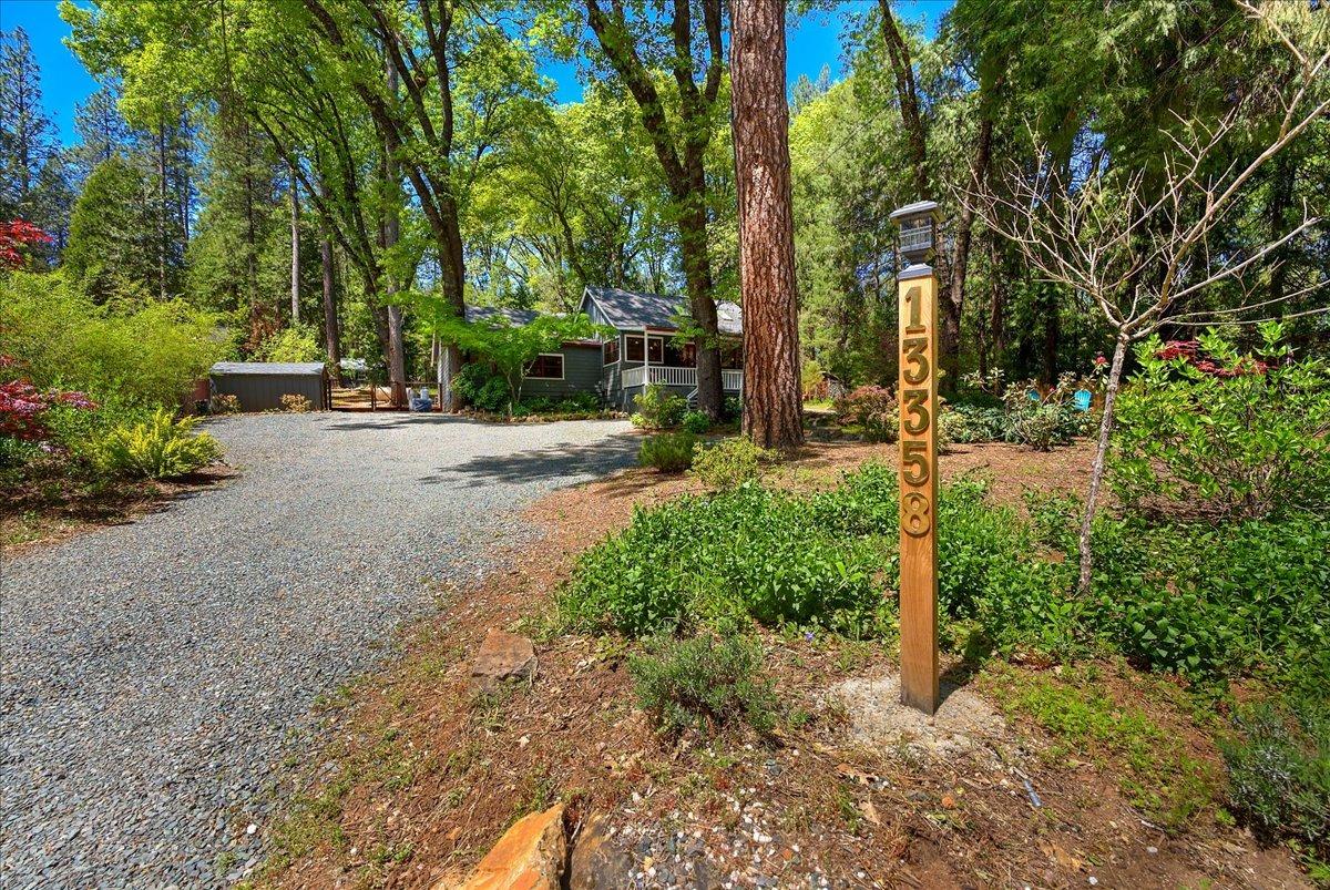 13358 Orton Road
