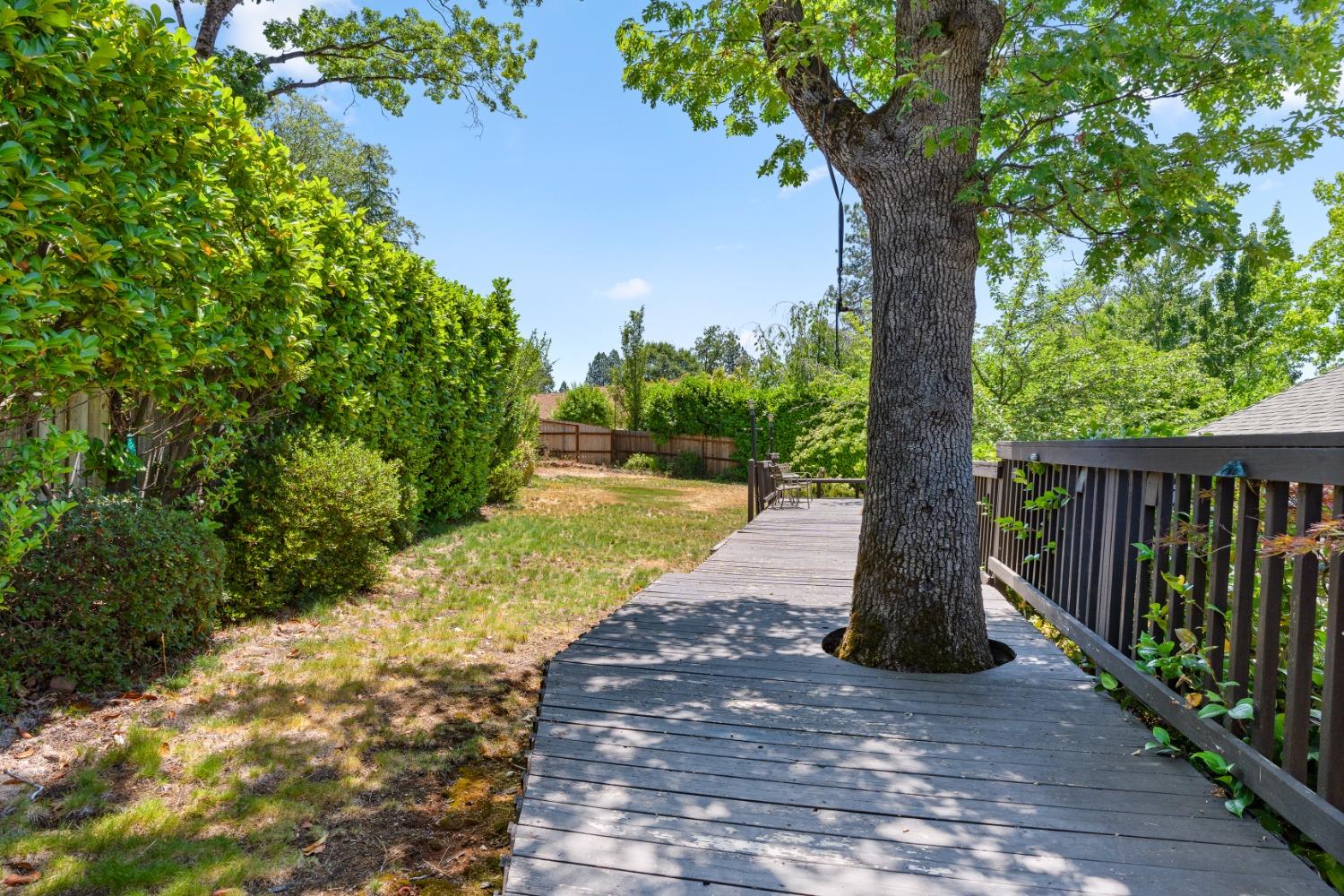 114 Grey Owl Court