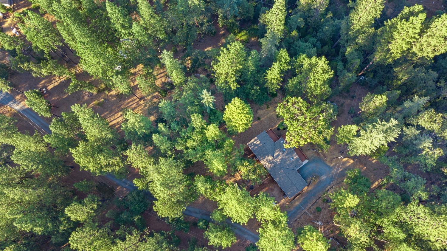 12337 Red Quartz Lane