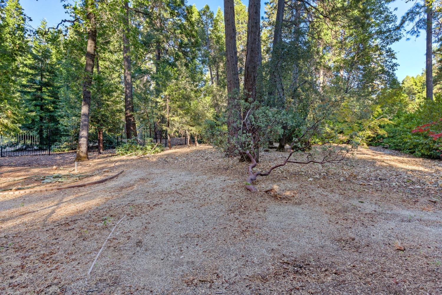 13101 Somerset Drive