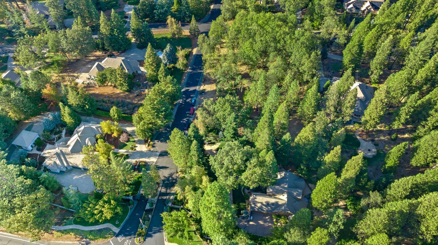 13101 Somerset Drive