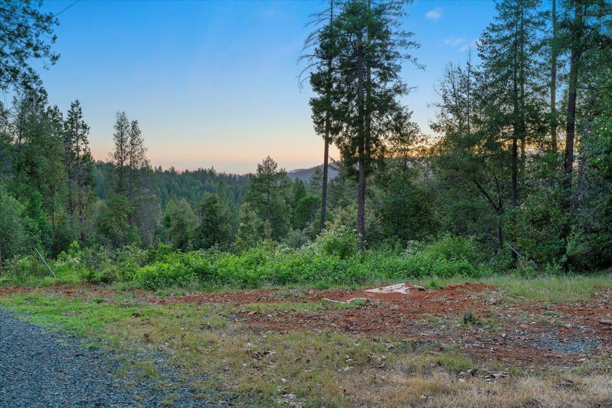 17307 New York House Road