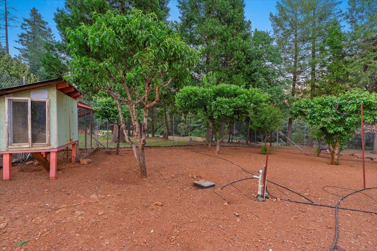 17307 New York House Road