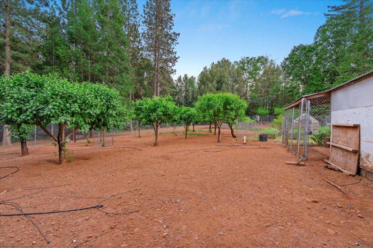 17307 New York House Road