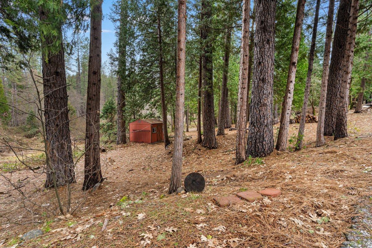 13834 Fletcher Lane