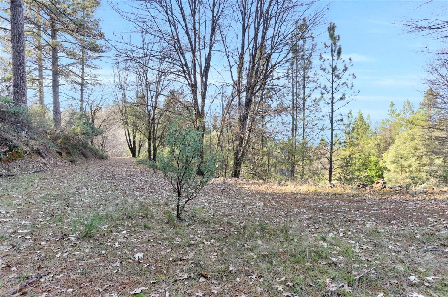19890 Venus Court