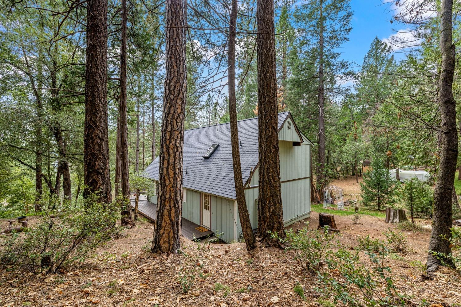 15994 Mountain View Drive